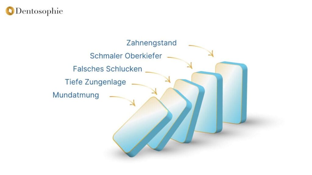 Die Bedeutung der Zungenlage für Kiefer, Körperhaltung und Gesundheit“