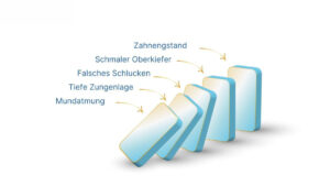 Die Bedeutung der Zungenlage für Kiefer, Körperhaltung und Gesundheit“