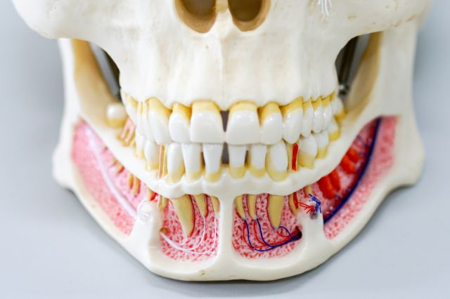 patientenversorgung zahnarzt patientenversorgung zahnarzt